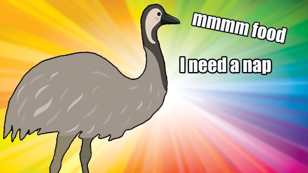 A Day In The Life Of An Emu