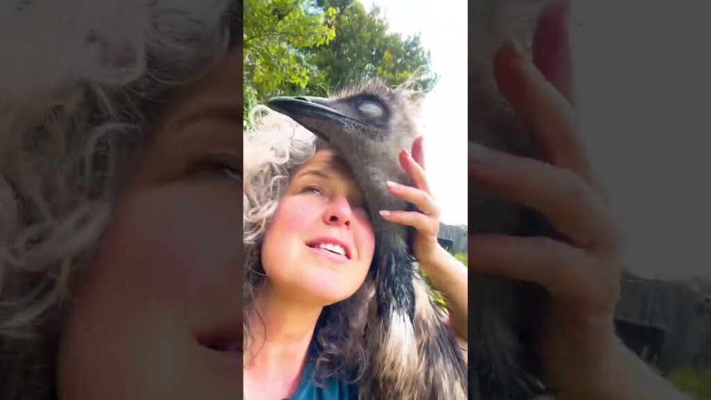 Floki wants me to sing for him 💚 #love #emu #birds #animals